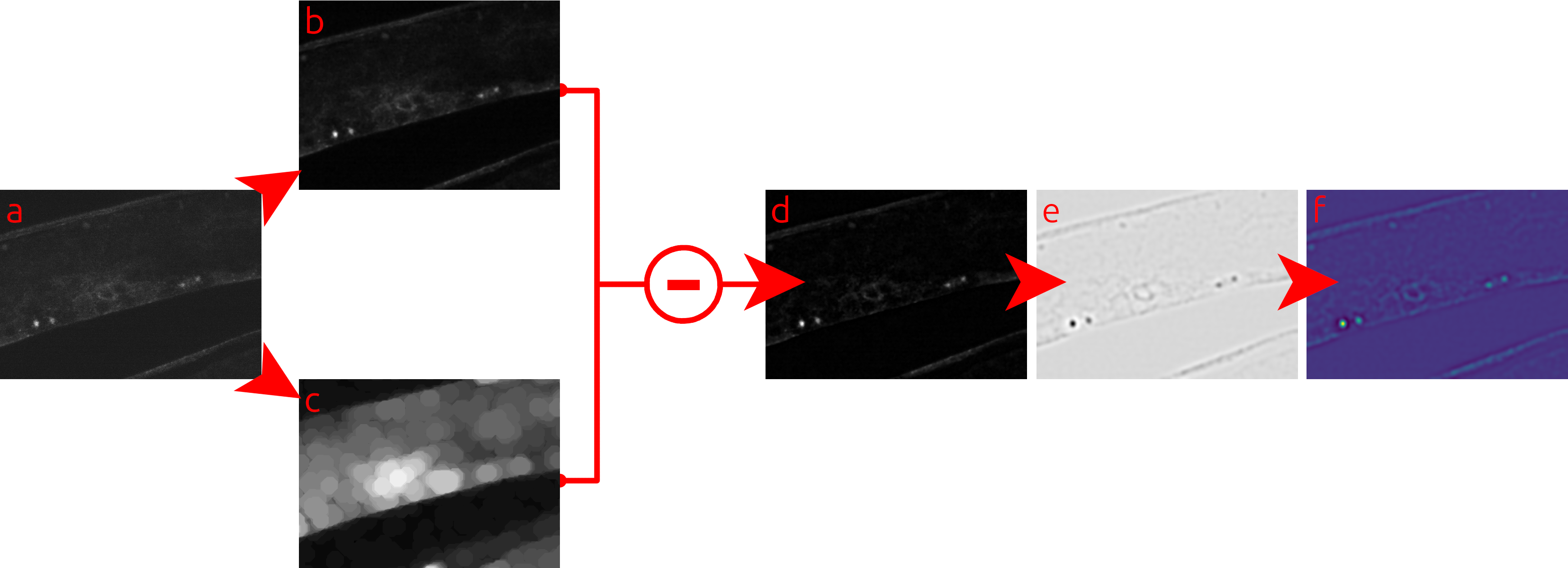 _images/prefilter.png