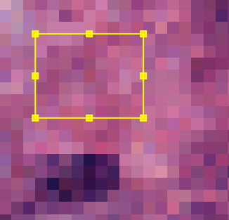 stain vector from roi