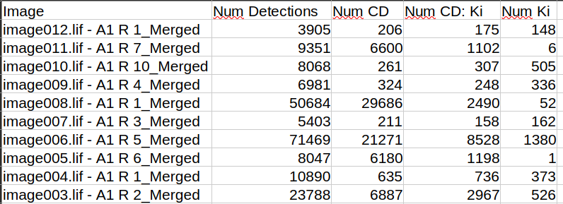 image measurements