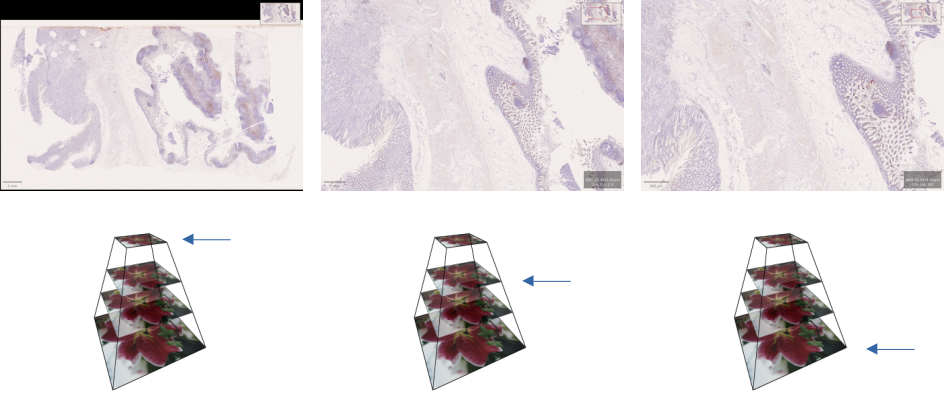 pyramid and resolution