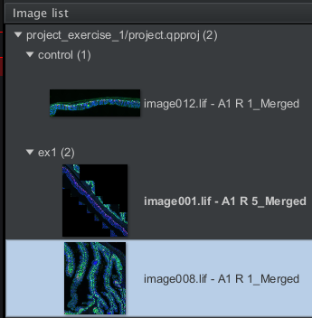 sorting images