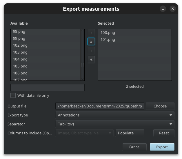 export measurements