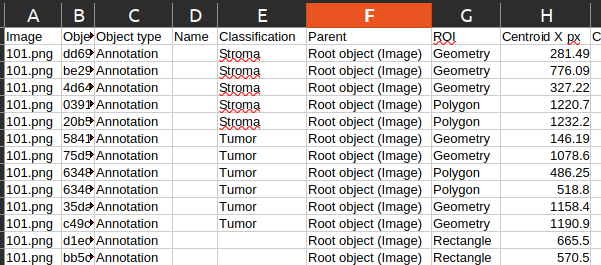 exported measurements
